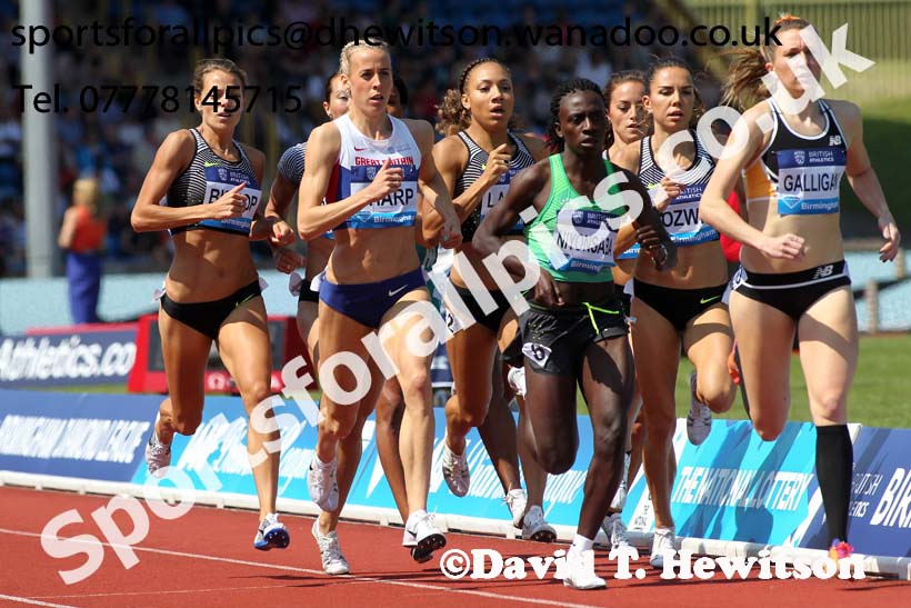 Womens 800 metres, IAAF Diamond League, Birmingham. Photo: David T. Hewitson/Sports for All Pics
